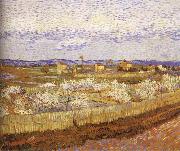 Vincent Van Gogh Blooming peach Germany oil painting artist